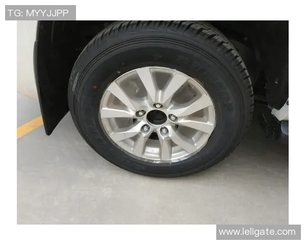 上海网球队在洲际杯积分榜上以62分稳居第一名，展现强劲实力