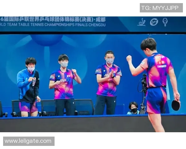 成都网球队与西安网球队实力对比赛后复盘分析与总结