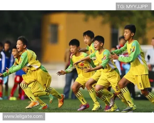 探索荷兰足球教材的精髓与实践技巧提升青少年足球水平的有效路径