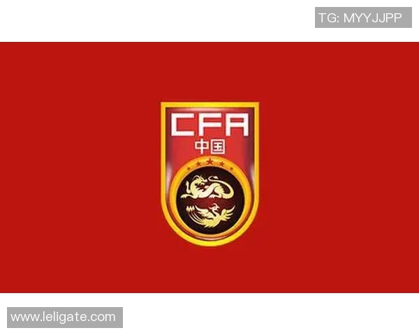 梦幻足球联盟国足队徽设计探索与创意理念分享