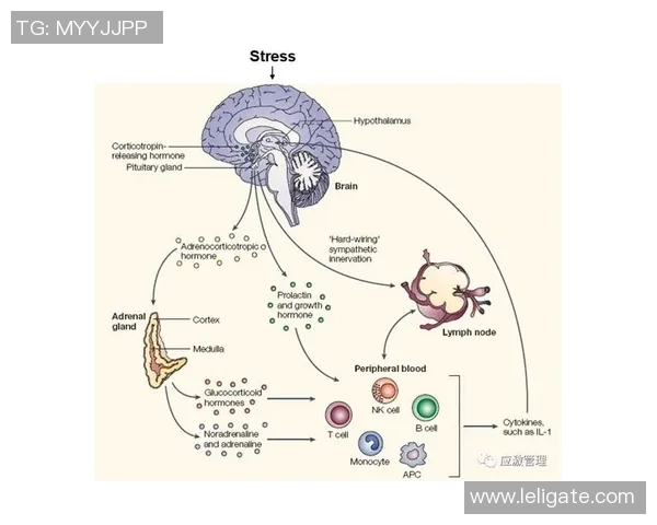 足球场上的恐惧心理解析如何克服对足球的恐惧感与焦虑情绪 足球场上的恐惧心理解析如何克服对足球的恐惧感与焦虑情绪