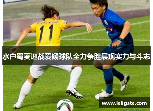 水户蜀葵迎战爱媛球队全力争胜展现实力与斗志