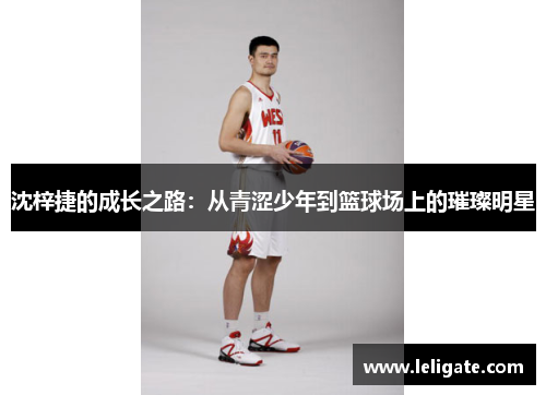 沈梓捷的成长之路：从青涩少年到篮球场上的璀璨明星