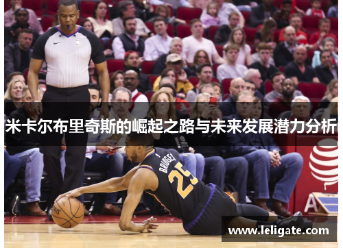 米卡尔布里奇斯的崛起之路与未来发展潜力分析