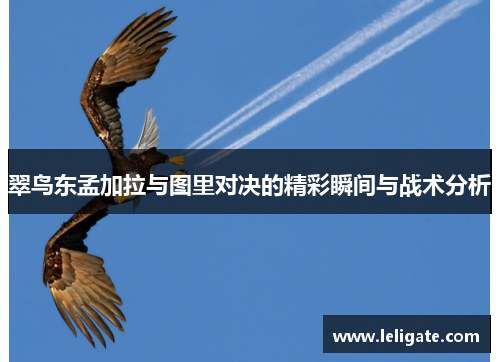 翠鸟东孟加拉与图里对决的精彩瞬间与战术分析